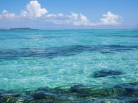 この海の色は何？