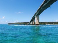 碧い海