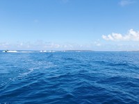 碧い海