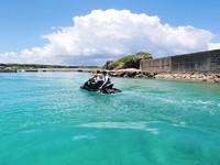 緑の海