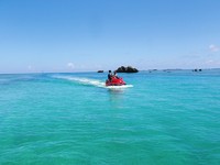 緑の海