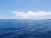 湖面のような海