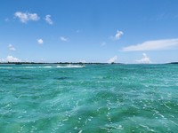 いい天気