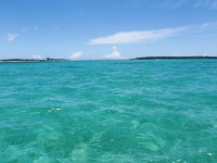 見とれる海
