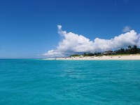 見とれる海