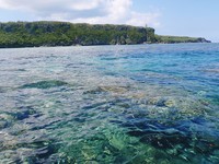 珊瑚礁の島