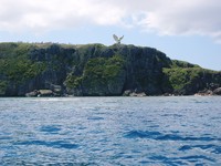 珊瑚礁の島