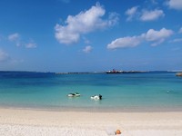 12月の夏