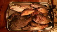 価値観 2009/04/16 12:38:52