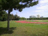 雨のち晴れ 2009/03/10 12:25:04