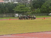 健康第一 2009/08/19 13:45:08