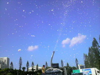 初雪 2010/01/10 00:06:06