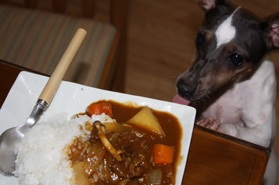 カレーくれッ！
