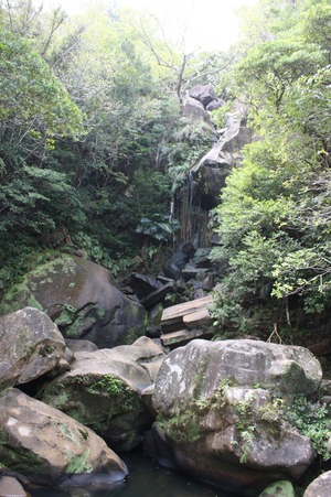 那覇⇔名護