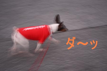 さぁ！