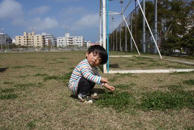 新都心公園 de ドッグラン