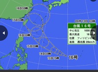 台風