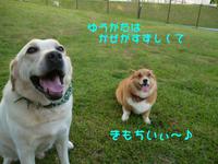 少しずつ。。。