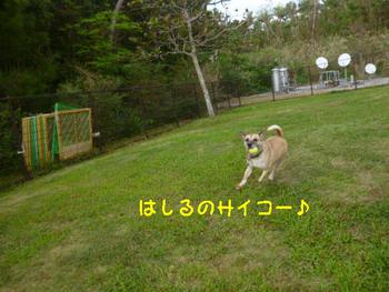 ボール大好きっ♪