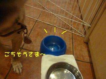 ボール大好きっ♪