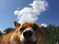 すごしやすい。。。