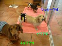 きもちいい～！ 2015/03/29 14:42:00