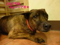 リラ～ックス♪ 2015/04/28 10:10:00