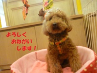 よろしくです★ 2015/05/20 14:50:00