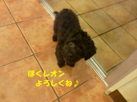 ぴょんぴょん♪ 2015/05/24 10:10:00