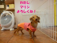 気になるようで・・・ 2015/06/03 09:10:00