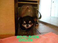 チェックok! 2015/03/09 14:02:00