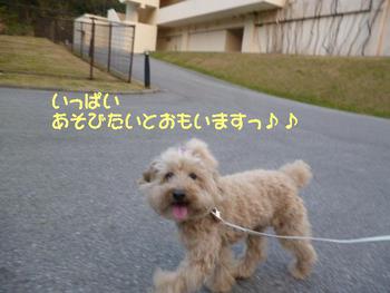 ぴょんっ♪