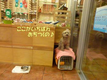 ぴょんっ♪
