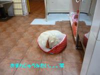 おいしそうな。。。 2015/02/19 10:42:47