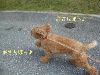 雑技団？