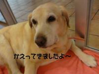 まったり～。。。 2015/04/21 13:19:44
