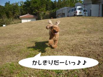 雑技団？