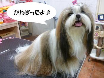 サラサラ☆