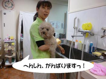 ぴょんっ♪