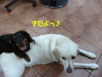 温泉したたるいい男★ 2015/03/11 11:06:36