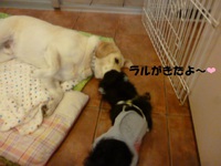 キリっと！！ 2015/06/16 10:00:00