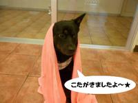 キャッチ！！ 2015/01/22 09:56:44