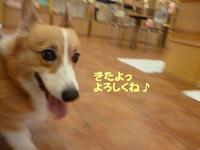 セクシー♪ 2015/01/28 09:00:00