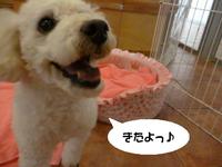 スマイル♪ 2015/02/16 09:00:00