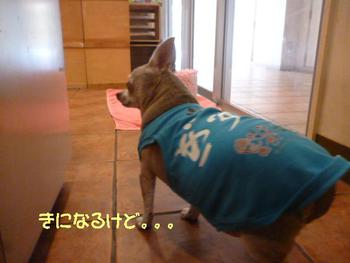 きんちょうします。。。