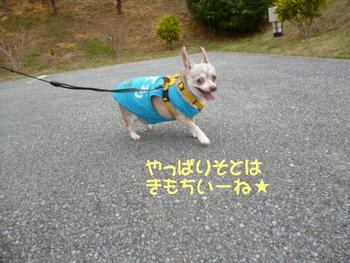 きんちょうします。。。