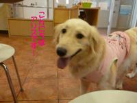 ポーズ♪ 2015/03/27 13:03:40