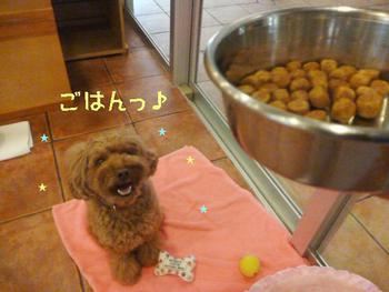 雑技団？