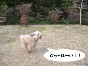ぴょんっ♪
