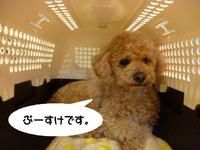 がんばれー♪ 2015/03/01 09:30:00